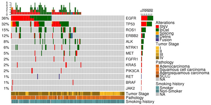 Utility of Circulating Tumor DNA Assay in Identifying Mutations and Guiding Matched Targeted Therapy in Lung Cancers.