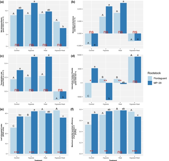 Responses of 'Flordaguard' and 'MP-29' <i>Prunus</i> spp. rootstocks to hypoxia and high root zone temperature.