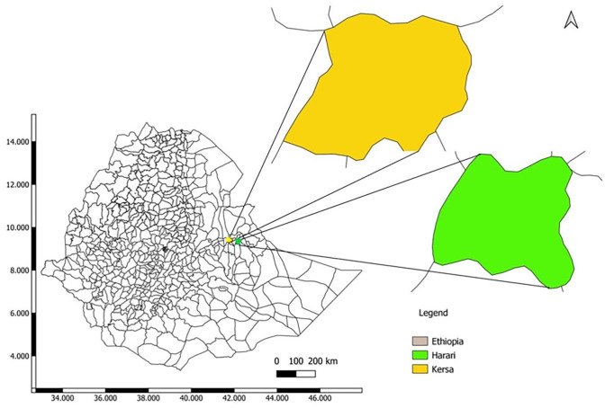 Foodborne Bacterial Pathogens in Animal, Food, and Environmental Samples Collected From the Physical Exposure of Children With Diarrhea in Ethiopia: A One Health Approach.