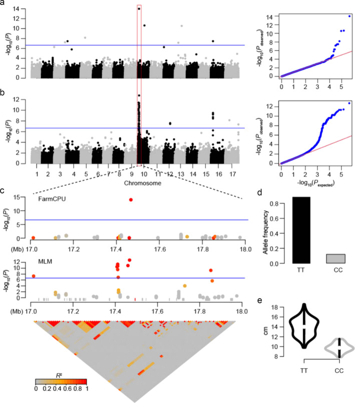 Dissecting the genetic architecture of sunflower disc diameter using genome-wide association study.