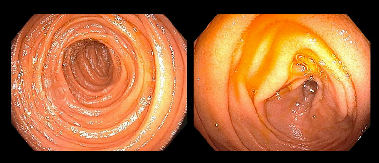 Abstract Image
