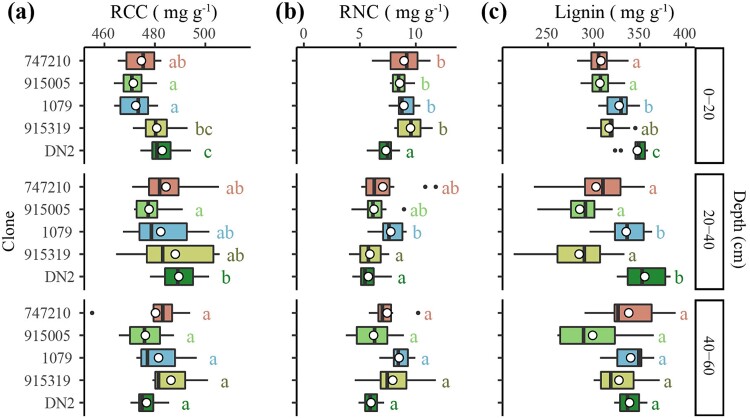 How is tree growth rate linked to root functional traits in phylogenetically related poplar hybrids?