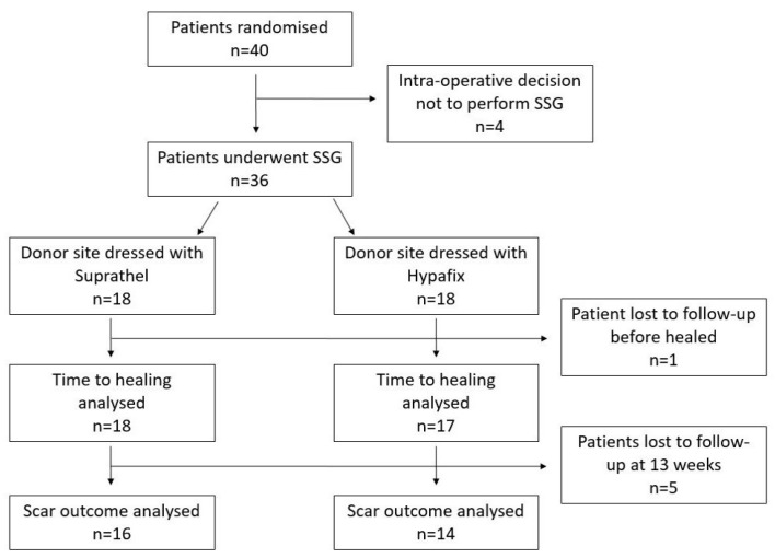 Suprathel Versus Hypafix in the Management of Split-Thickness Donor Site Wounds in the Elderly: A Randomised Controlled Trial.