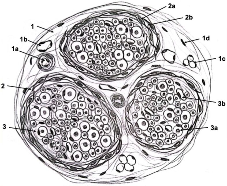 Abstract Image