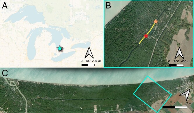 Seasonal variation in thermal tolerance and hypoxia tolerance of a threatened minnow and a non-imperilled congener: a cautionary tale for surrogate species in conservation.