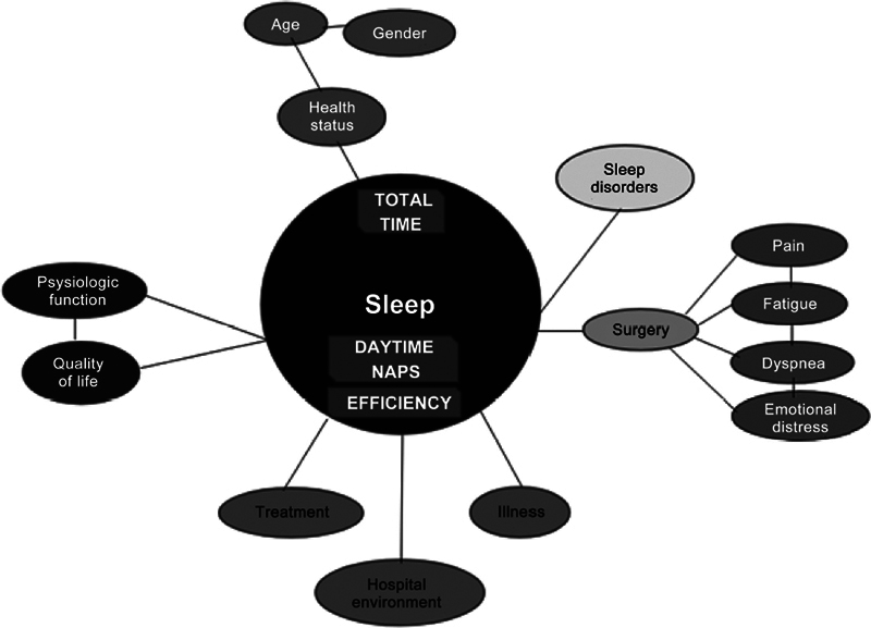 Correction to: Can Improving Postoperative Sleep Speed Up Surgical Recovery?: Sleep Sci 2024; 17:3:335-338: São Paulo, September 20, 2024.