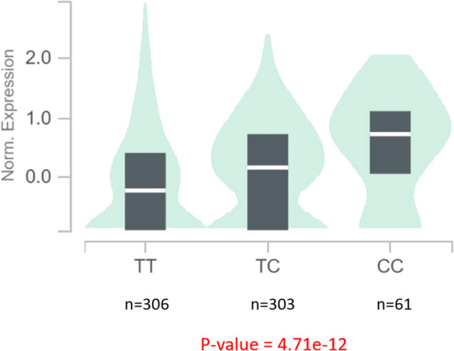 Genomic Validation in the UK Biobank Cohort Suggests a Role of C8B and MFG-E8 in the Pathogenesis of Trigeminal Neuralgia