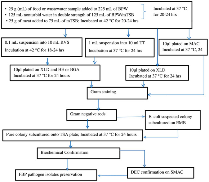 Foodborne Bacterial Pathogens in Animal, Food, and Environmental Samples Collected From the Physical Exposure of Children With Diarrhea in Ethiopia: A One Health Approach.