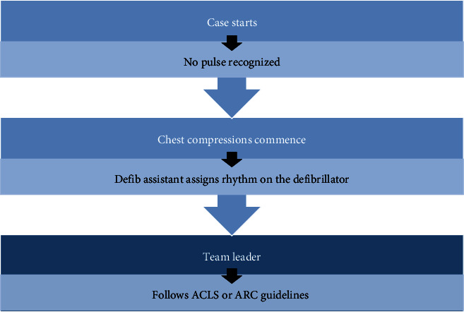 Comparison Between the Advanced Cardiac Life Support and Adult Advanced Life Support Protocols: A Simulation-Based Pilot Study.