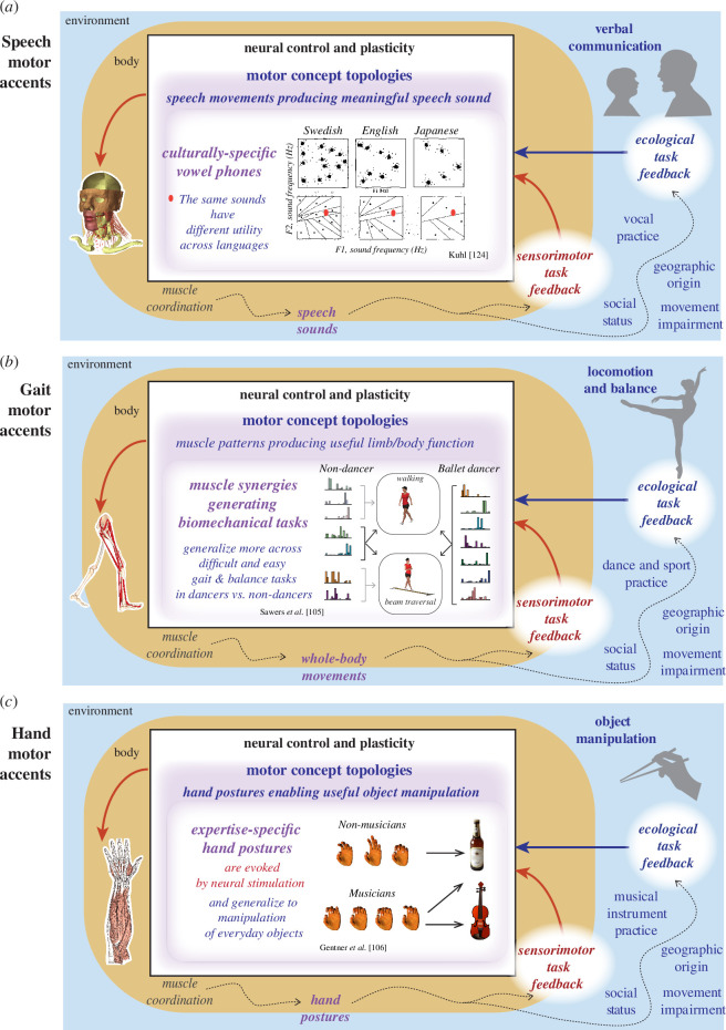 Ethnokinesiology: towards a neuromechanical understanding of cultural differences in movement.