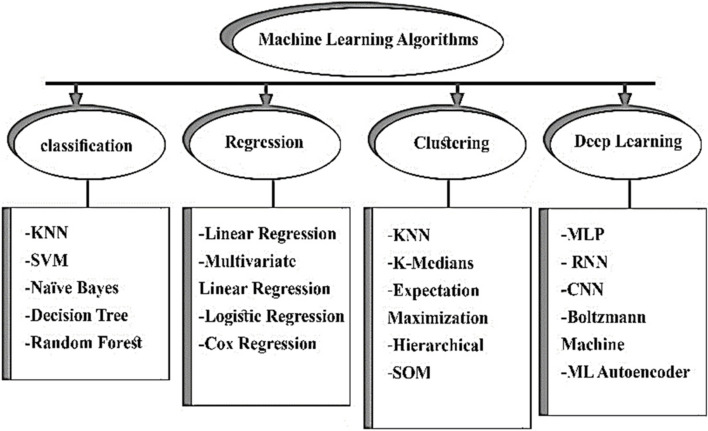 The power of deep learning in simplifying feature selection for hepatocellular carcinoma: a review.