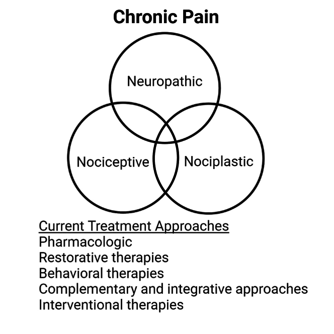 Clinical pain management: Current practice and recent innovations in research.