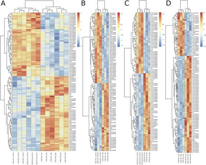 Transcriptomic insights into mycorrhizal interactions with tomato root: a comparative study of short- and long-term post-inoculation responses.