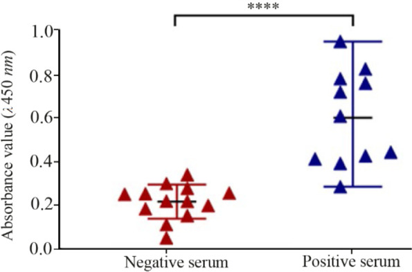 Immunogenic Consideration of a Designed Polypeptide Against Brucellosis Compared to RB51: An <i>In Vivo</i> Study.