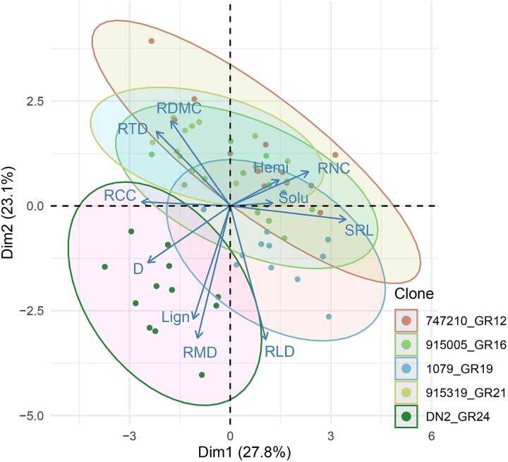 How is tree growth rate linked to root functional traits in phylogenetically related poplar hybrids?