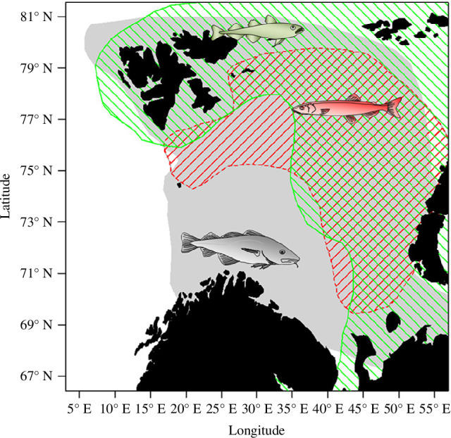Interaction between three key species in the sea ice-reduced Arctic Barents Sea system.