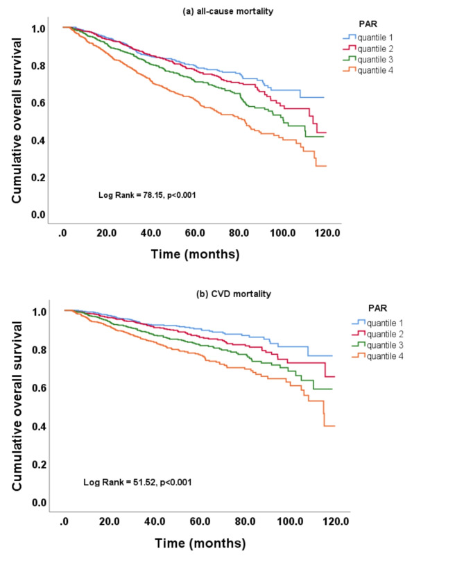 Platelet-to-albumin ratio: a potential biomarker for predicting all-cause and cardiovascular mortality in patients undergoing peritoneal dialysis.