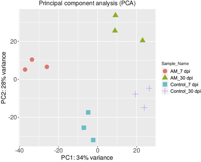 Transcriptomic insights into mycorrhizal interactions with tomato root: a comparative study of short- and long-term post-inoculation responses.