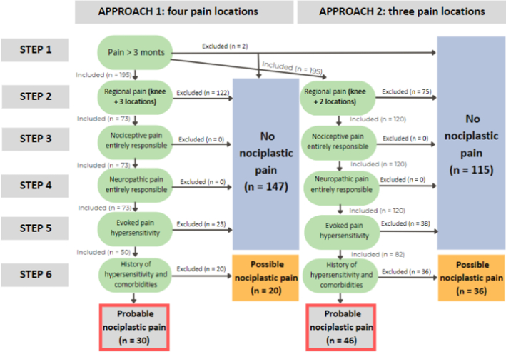 Application of the IASP Grading System to Identify Underlying Pain Mechanisms in Patients With Knee Osteoarthritis: A Prospective Cohort Study.