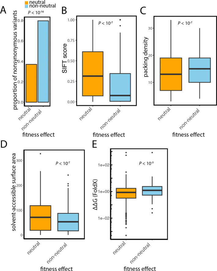 Massively parallel interrogation of the fitness of natural variants in ancient signaling pathways reveals pervasive local adaptation.