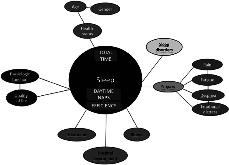 Correction to: Can Improving Postoperative Sleep Speed Up Surgical Recovery?: Sleep Sci 2024; 17:3:335-338: São Paulo, September 20, 2024.