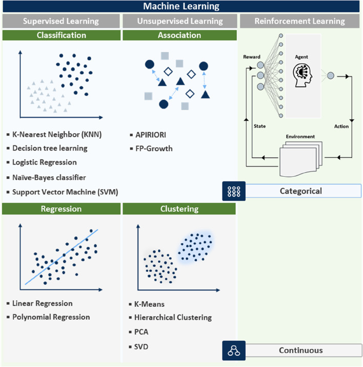 Advances in machine learning-enhanced nanozymes.