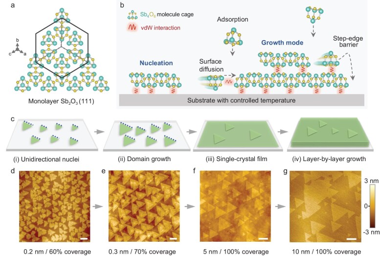 Van der Waals epitaxial growth of single-crystal molecular film.
