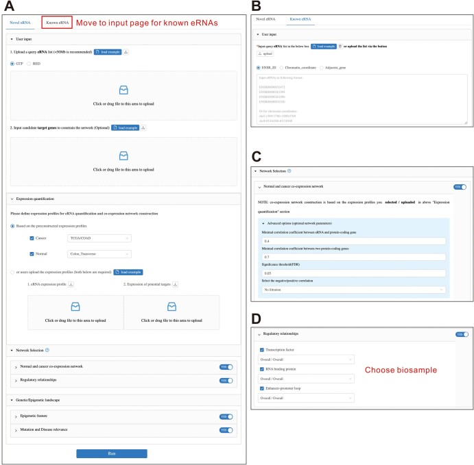 eRNA-IDO: A One-stop Platform for Identification, Interactome Discovery, and Functional Annotation of Enhancer RNAs.
