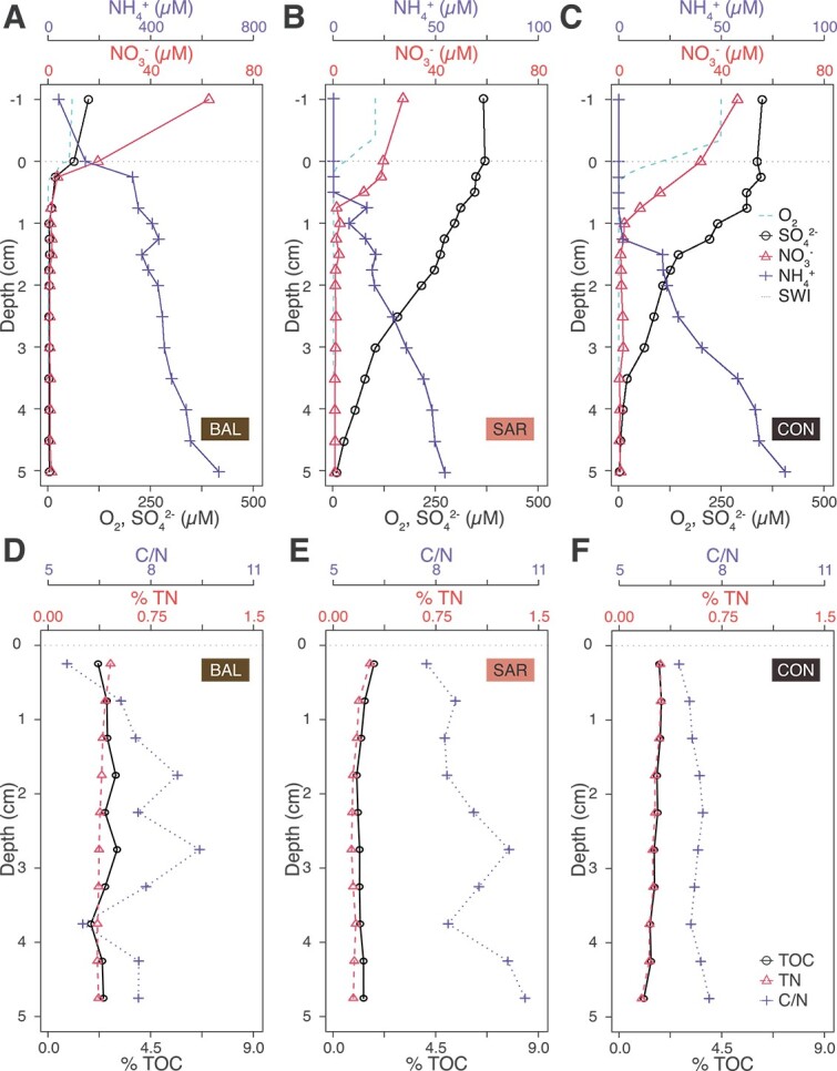 Metagenomic and -transcriptomic analyses of microbial nitrogen transformation potential, and gene expression in Swiss lake sediments.