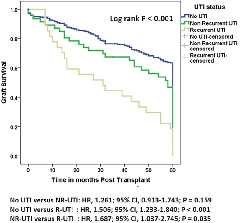 Effect of urinary tract infection on the outcome of the allograft in patients with kidney transplantation.