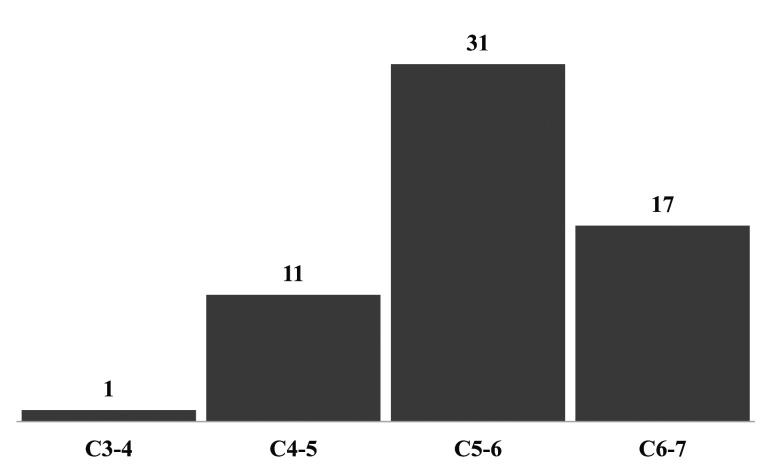 PATIENT-REPORTED SURVEY TO ASSESS CLINICAL STATUS AND SURGICAL OUTCOME AFTER ANTERIOR CERVICAL DISCECTOMY AND FUSION USING AN ALLOGRAFT WITH A FIXED ANGLE OF INCLINATION.