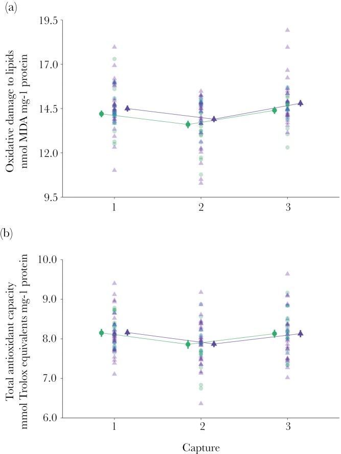 An immune challenge induces a decline in parental effort and compensation by the mate.