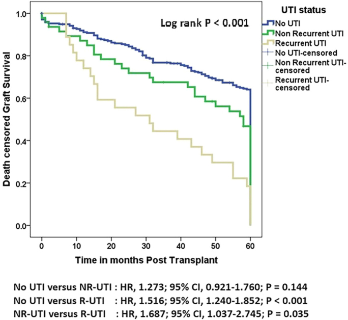 Effect of urinary tract infection on the outcome of the allograft in patients with kidney transplantation.