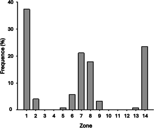 Influence of proximal femoral morphology on osteointegration of the AMIS uncemented femoral stem in modern hip arthroplasty.
