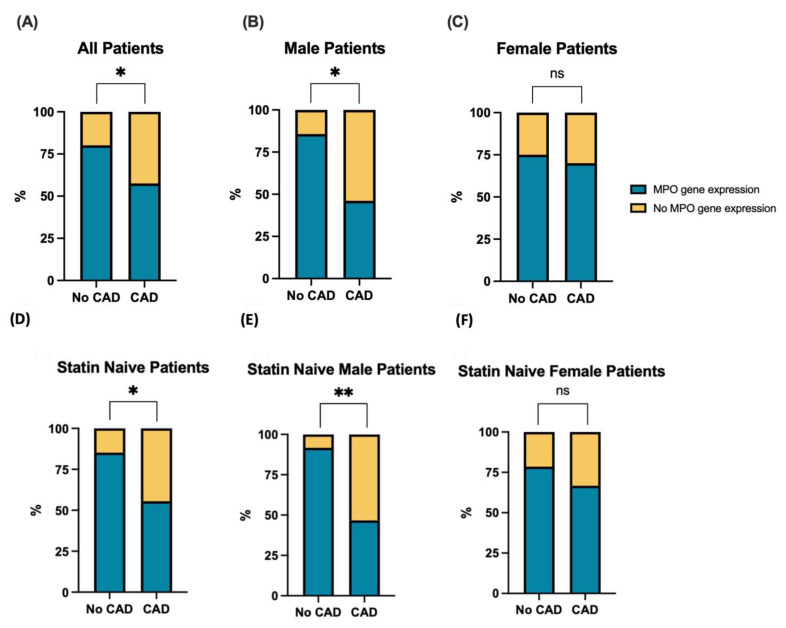 Expression of Myeloperoxidase in Patient-Derived Endothelial Colony-Forming Cells-Associations with Coronary Artery Disease and Mitochondrial Function.