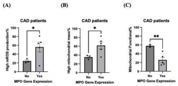 Expression of Myeloperoxidase in Patient-Derived Endothelial Colony-Forming Cells-Associations with Coronary Artery Disease and Mitochondrial Function.