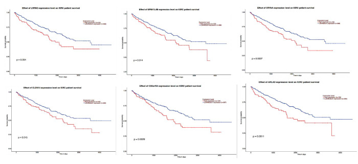 Bioinformatic Approaches for the Identification of Novel Tumor Suppressor Genes and Cancer Pathways in Renal Clear Cell Carcinoma.