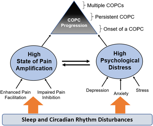 Sleep and circadian rhythm disturbances as risk and progression factors for multiple chronic overlapping pain conditions: a protocol for a longitudinal study.