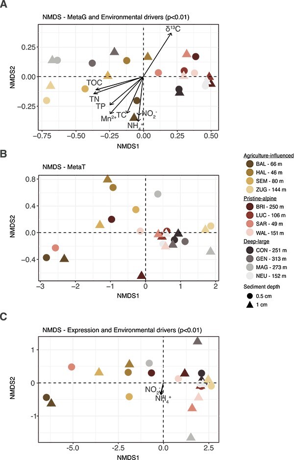 Metagenomic and -transcriptomic analyses of microbial nitrogen transformation potential, and gene expression in Swiss lake sediments.