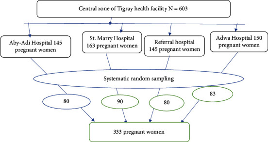 Magnitude and Associated Factors of Herbal Medicine Use During Pregnancy Among Women Attending Antenatal Care in Public Health Institutions of Central Tigray, Northern Ethiopia (2020): Facility-Based Cross-Sectional Study.