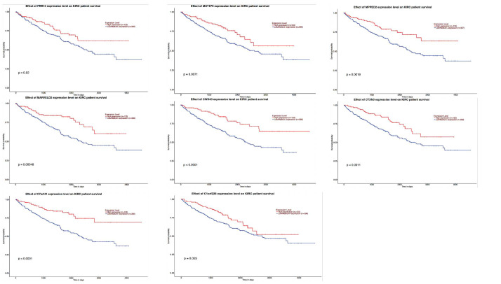 Bioinformatic Approaches for the Identification of Novel Tumor Suppressor Genes and Cancer Pathways in Renal Clear Cell Carcinoma.
