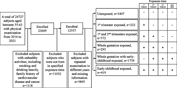 Exposures to great Chinese Famine during embryo, foetal or infant stages link differently with risks of cardiovascular diseases in late middle age.