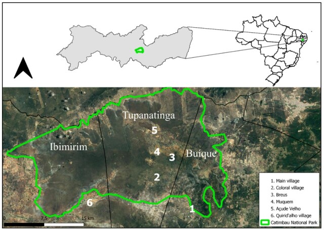Occurrence of Babesia and Anaplasma in ruminants from the Catimbau National Park, Semiarid Region of Northeast Brazil.