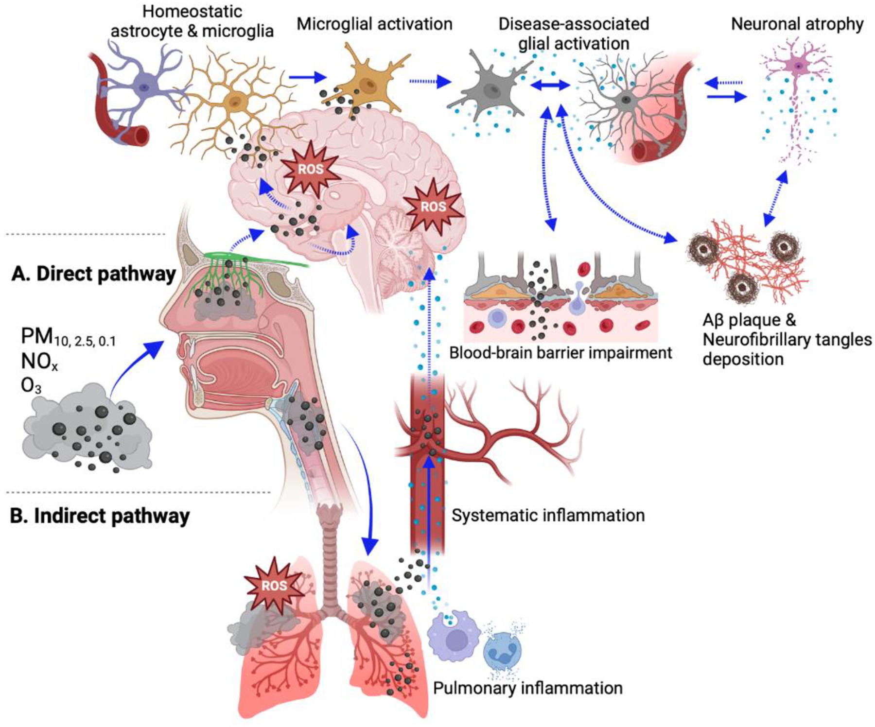 Air Pollution as an Environmental Risk Factor for Alzheimer's Disease and Related Dementias.