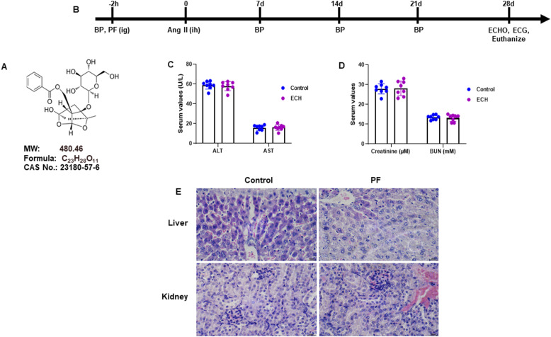 Paeoniflorin Inhibits Atrial Fibrosis and Atrial Fibrillation in Angiotensin II-Infused Mice Through the PI3K-Akt Pathway.