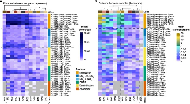 Metagenomic and -transcriptomic analyses of microbial nitrogen transformation potential, and gene expression in Swiss lake sediments.