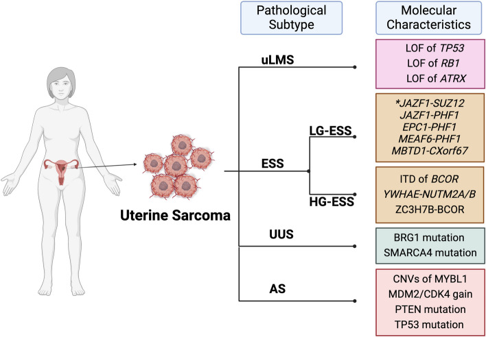 Advancement in Multi-omics approaches for Uterine Sarcoma.