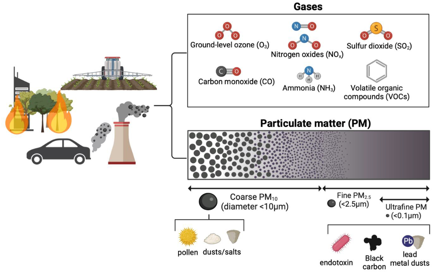 Air Pollution as an Environmental Risk Factor for Alzheimer's Disease and Related Dementias.