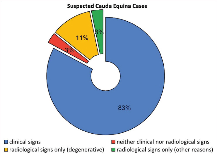 Incidence and long-term patient reported outcome measures of patients with radiological cauda equina compression but without clinical features of cauda equina syndrome.