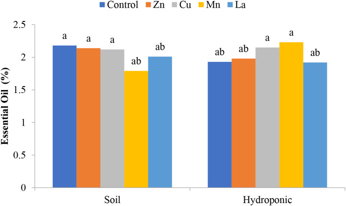 The effect of foliar spraying of some micronutrients and lanthanum on the morphological and physiological characteristics of summer savory (Satureja hortensis L.) under hydroponic and soil conditions.